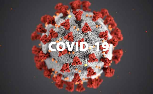 Picture of Coronavirus under microscope