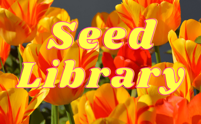 Seed Library