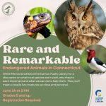 Rare and Remarkable Animals