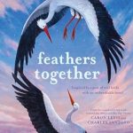 Feathers together