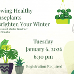 Happy Houseplants Happy Home (Website)