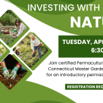Permaculture (Website)